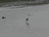 Filename=121_-_Bretagne.jpg
Filesize=35KB
Dimensions=640x480
Date added=Dec 17, 2006 121_-_Bretagne.jpg