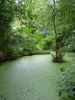 Filename=223_-_Bretagne.jpg
Filesize=136KB
Dimensions=480x640
Date added=Dec 17, 2006 223_-_Bretagne.jpg