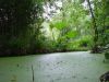Filename=224_-_Bretagne.jpg
Filesize=135KB
Dimensions=640x480
Date added=Dec 17, 2006 224_-_Bretagne.jpg