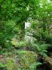 Filename=229_-_Bretagne.jpg
Filesize=173KB
Dimensions=480x640
Date added=Dec 17, 2006 229_-_Bretagne.jpg