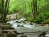Filename=114_-_Jura_by_Grincheux.jpg
Filesize=108KB
Dimensions=640x480
Date added=Dec 17, 2006 114_-_Jura_by_Grincheux.jpg