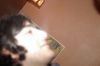 IMGP0454.jpg