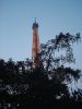 DSC03429.JPG