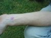 DSC05088.JPG