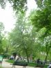DSC04369.JPG