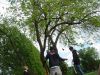 DSC04512.jpg