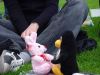 DSC03225.JPG