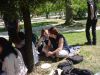 DSC03329.jpg