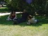 DSC03330.jpg