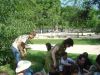 DSC04810.jpg