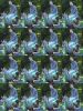 DSCN6227.JPG