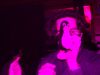 DSCN0061.JPG