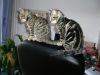 IMGP0744.JPG